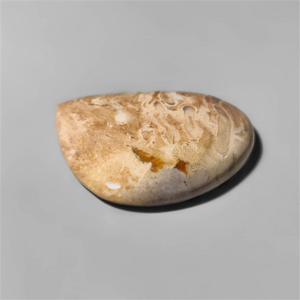 Agate|Palmroot