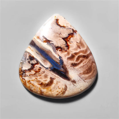 Agate|Palmroot