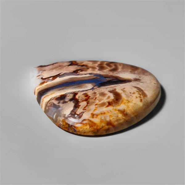 Agate|Palmroot