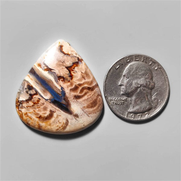 Agate|Palmroot