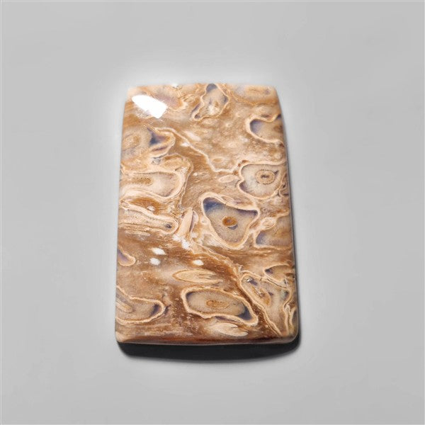 Agate|Palmroot