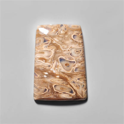 Agate|Palmroot