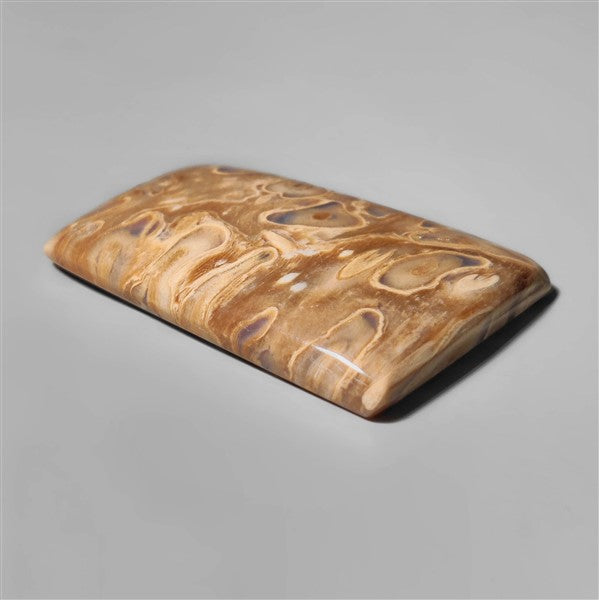 Agate|Palmroot