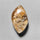 Lodolite