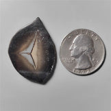 Septarian
