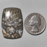 Feather Pyrite|Pyrite