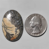 Feather Pyrite|Pyrite