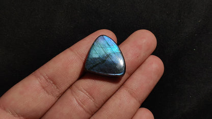 Spectrolite Cabochon
