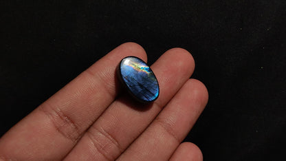 Spectrolite Cabochon