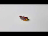 Ceylon Hessonite Garnet Faceted