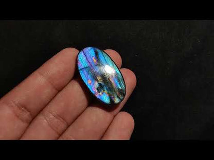 Electric Blue Green Spectrolite Cabochon