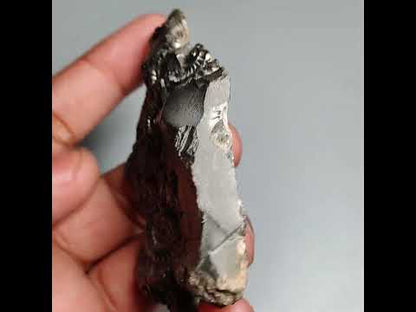 Uber Rare Pyritized Marston Marble Raw Fossil